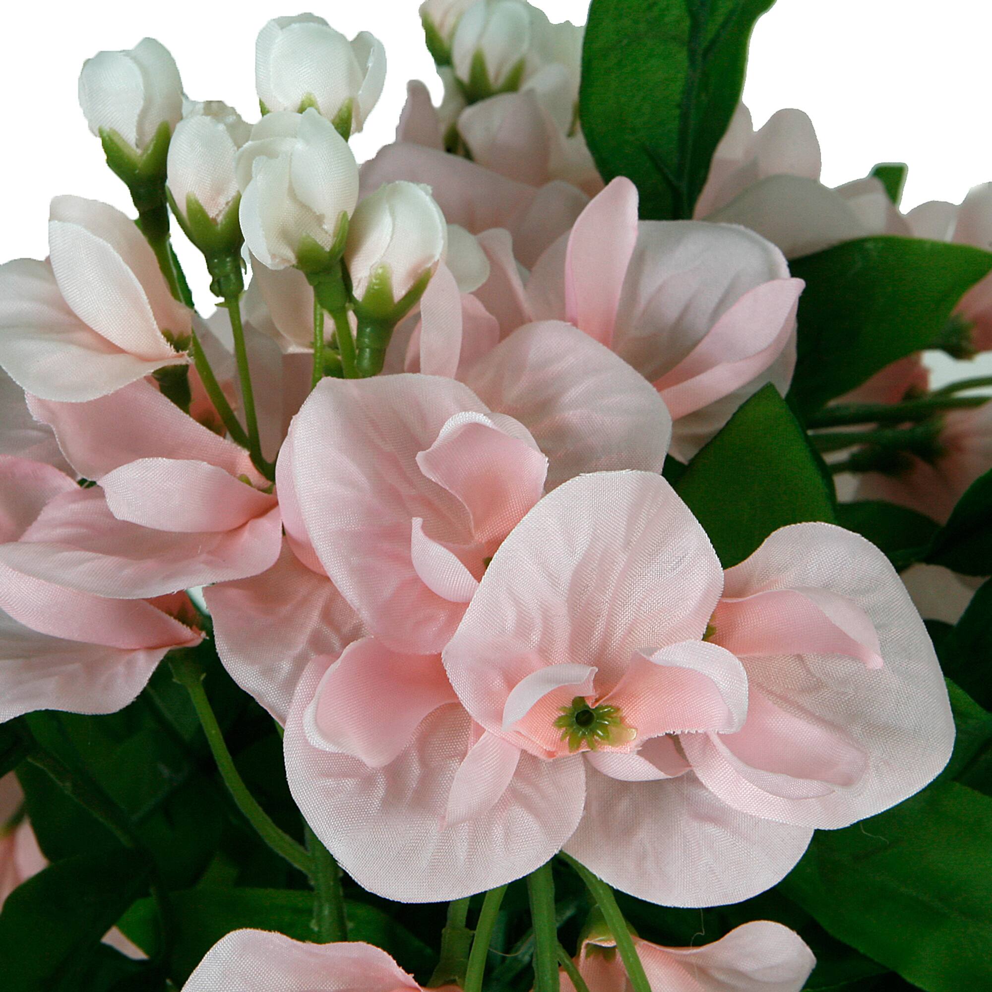 Pink Wisteria Bush by Ashland®